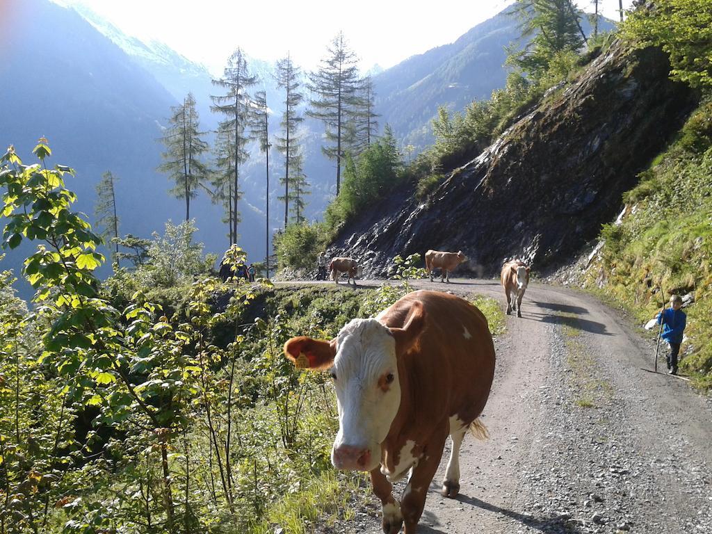 Feriendorf Ponyhof Hotell Fusch an der Grossglocknerstrasse Eksteriør bilde