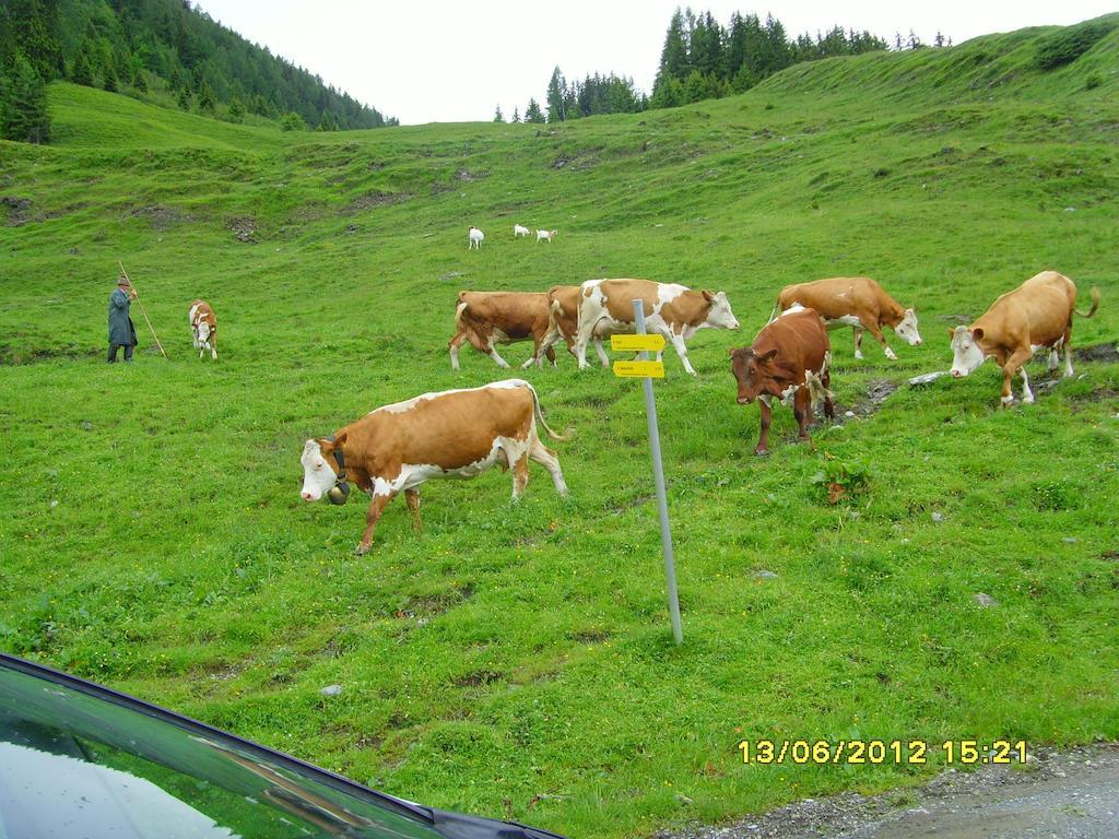 Feriendorf Ponyhof Fusch an der Grossglocknerstrasse Eksteriør bilde