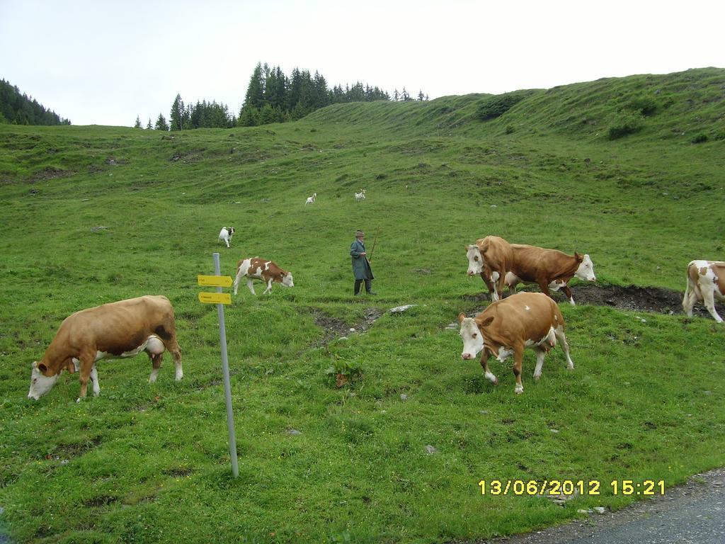 Feriendorf Ponyhof Hotell Fusch an der Grossglocknerstrasse Eksteriør bilde